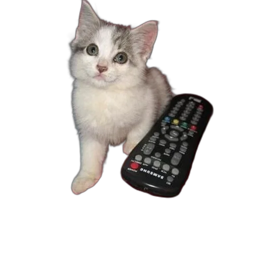 animal, staff, creature, weapon transparent PNG cut-out
