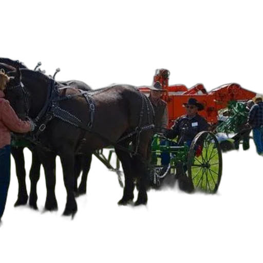 staff, car, animal, photorealistic transparent PNG cut-out