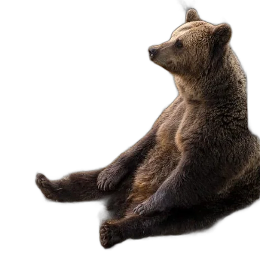 animal, creature, photorealistic, concept art transparent PNG cut-out