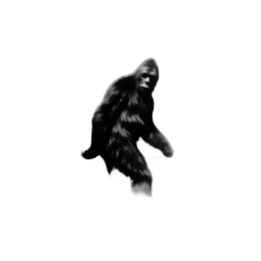 animal, creature, hair, mask transparent PNG cut-out