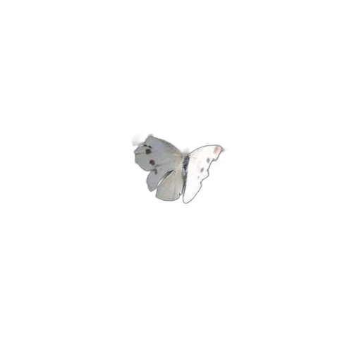 robot, jewelry, weapon, crown transparent PNG cut-out