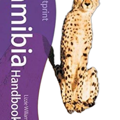 animal, image, shows, cover transparent PNG cut-out