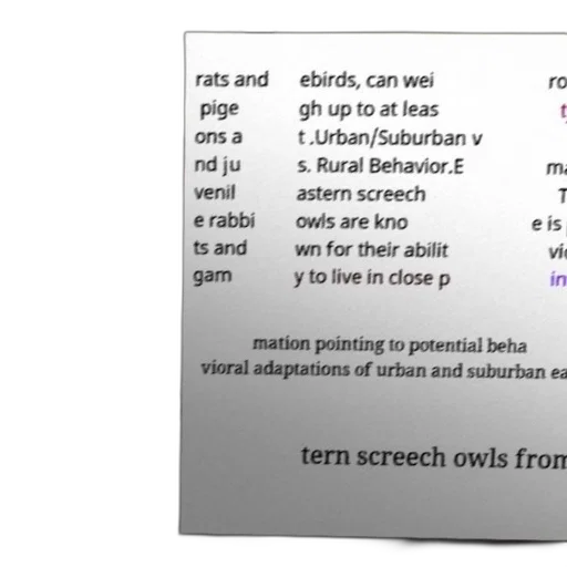 pastel, text-based, image, discussing transparent PNG cut-out