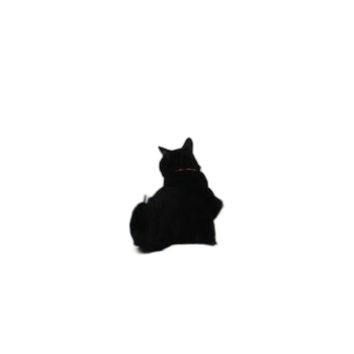animal, creature, staff, hat transparent PNG cut-out