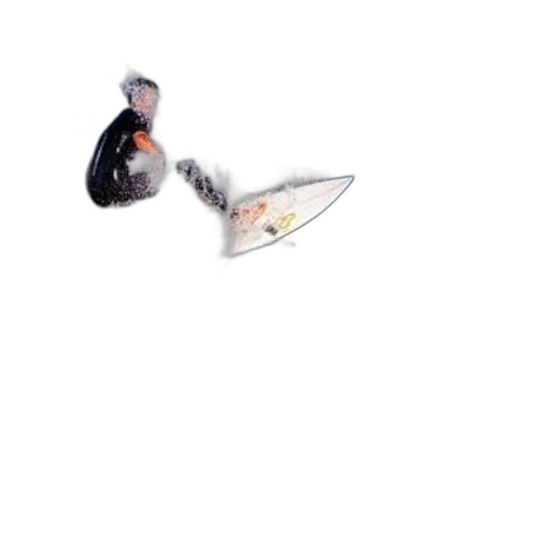 animal, dragon, weapon, creature transparent PNG cut-out