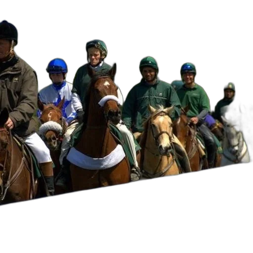staff, photorealistic, group, jockeys transparent PNG cut-out