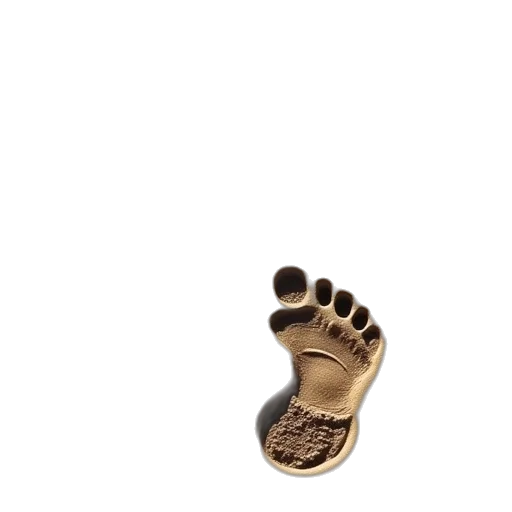 shoes, animal, creature, jewelry transparent PNG cut-out