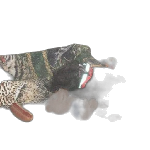 animal, jacket, dragon, creature transparent PNG cut-out