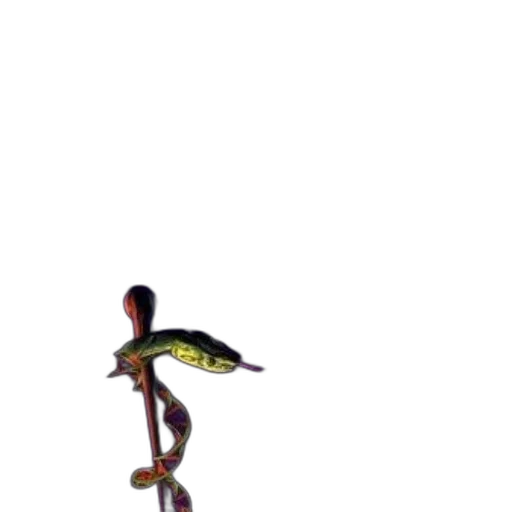 staff, animal, creature, robot transparent PNG cut-out