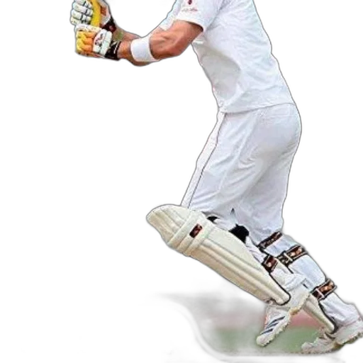 photorealistic, 3d render, cricket, player transparent PNG cut-out
