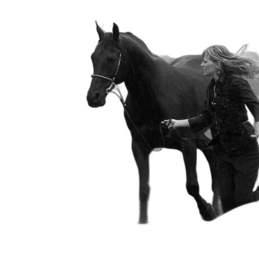animal, creature, photorealistic, woman transparent PNG cut-out