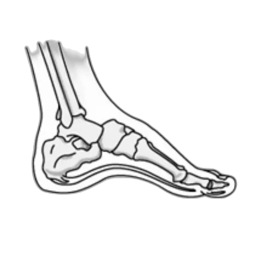 shoes, robot, three, illustrations transparent PNG cut-out