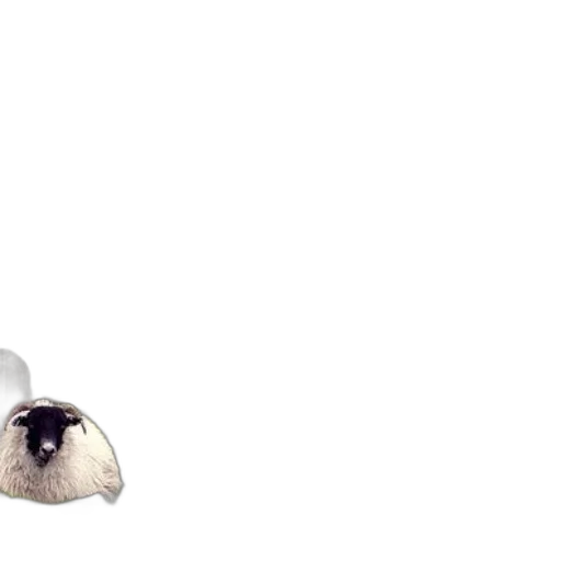 animal, hat, creature, mask transparent PNG cut-out
