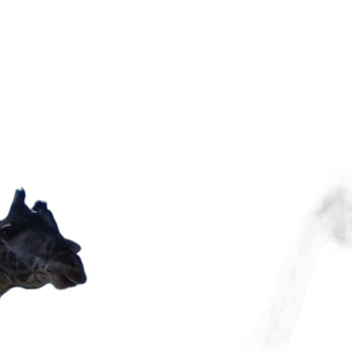 dragon, animal, creature, mask transparent PNG cut-out