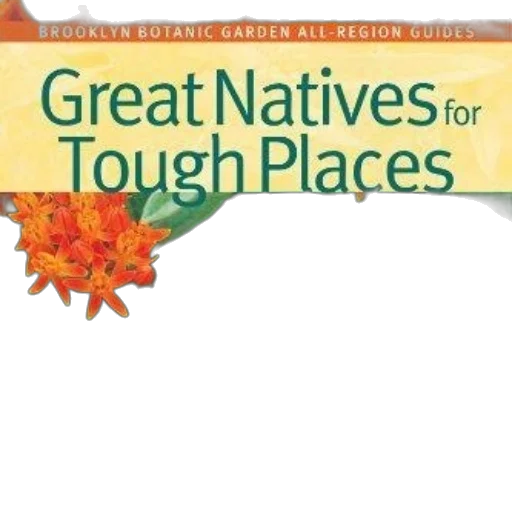 earth tones, great, natives, tough transparent PNG cut-out