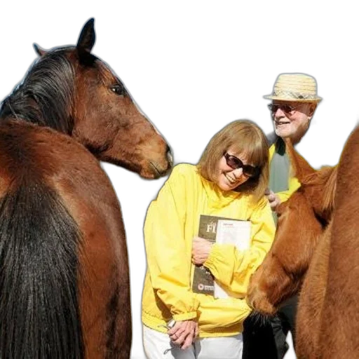 animal, staff, woman, yellow transparent PNG cut-out