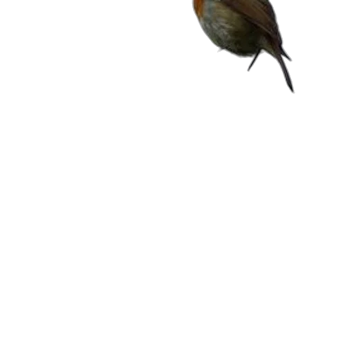 animal, staff, creature, weapon transparent PNG cut-out