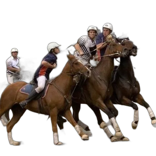 concept art, photorealistic, group, polo transparent PNG cut-out