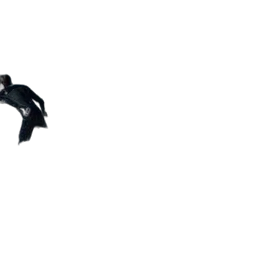 animal, dragon, umbrella, shoes transparent PNG cut-out
