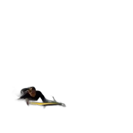 staff, sword, animal, weapon transparent PNG cut-out