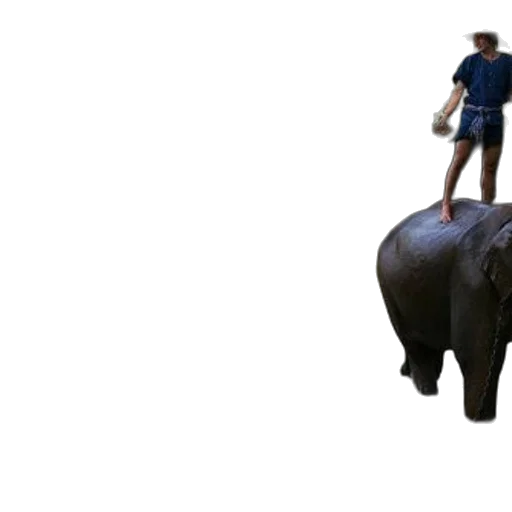 animal, 3d render, concept art, photorealistic transparent PNG cut-out