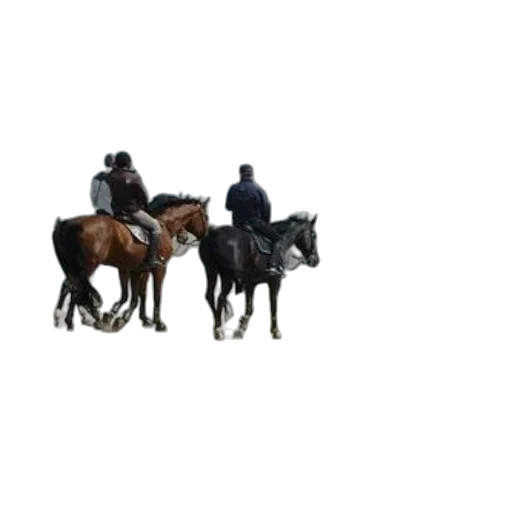 staff, animal, hat, jacket transparent PNG cut-out