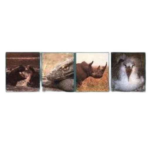 animal, dragon, creature, face transparent PNG cut-out