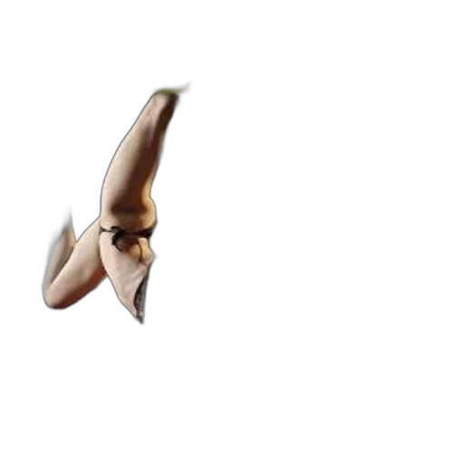 animal, mask, creature, face transparent PNG cut-out