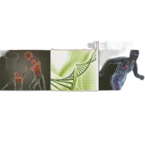cover, acsm, introduction, exercise transparent PNG cut-out