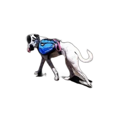 animal, creature, staff, robot transparent PNG cut-out