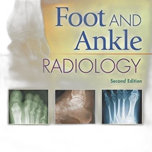 shoes, cover, foot, ankle transparent PNG cut-out