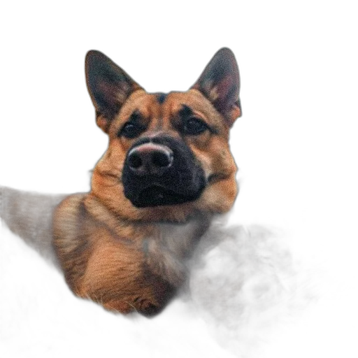 animal, staff, creature, face transparent PNG cut-out