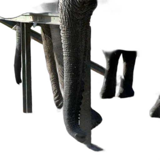 furniture, shoes, staff, sword transparent PNG cut-out