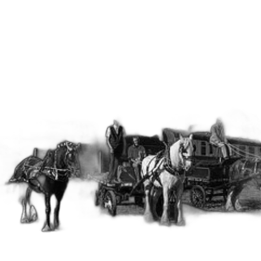 animal, car, furniture, weapon transparent PNG cut-out
