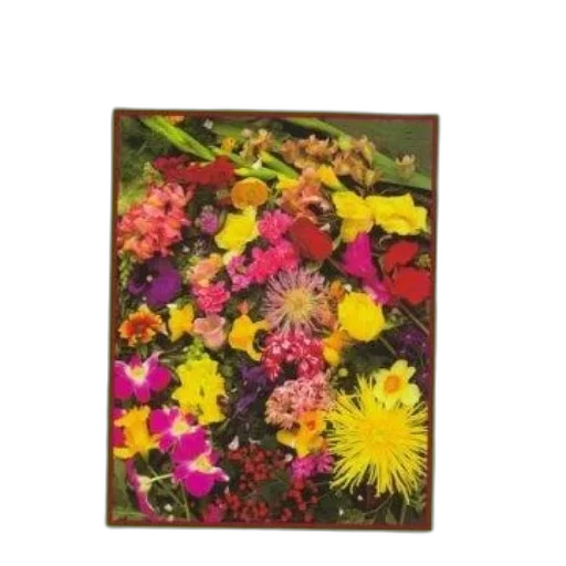 flower, jewelry, crown, oil painting transparent PNG cut-out