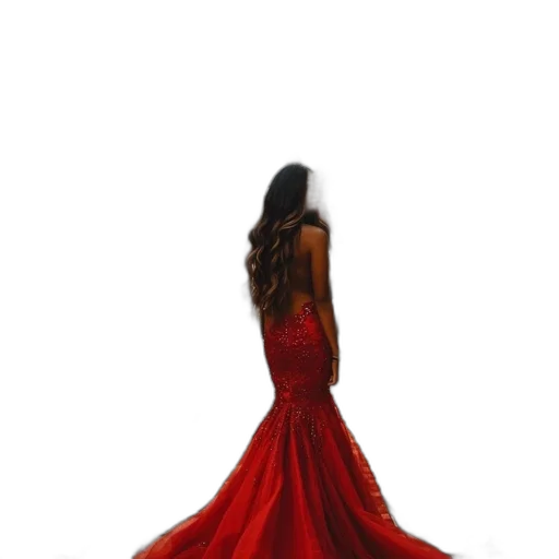 dress, crown, jewelry, hair transparent PNG cut-out