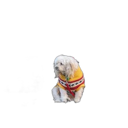 jacket, animal, staff, creature transparent PNG cut-out
