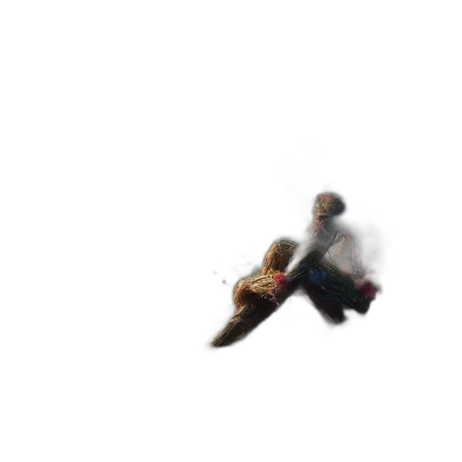 shoes, dragon, creature, weapon transparent PNG cut-out