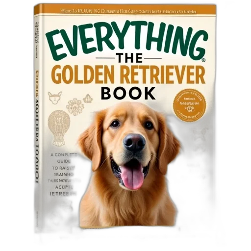 cover, book, titled, everything transparent PNG cut-out