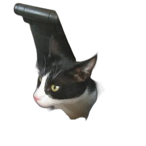 staff, weapon, animal, umbrella transparent PNG cut-out