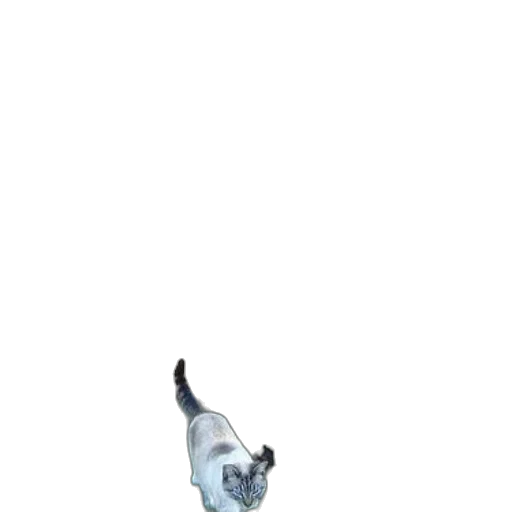 animal, creature, staff, robot transparent PNG cut-out