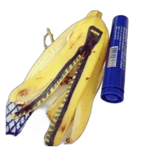 weapon, food, staff, animal transparent PNG cut-out