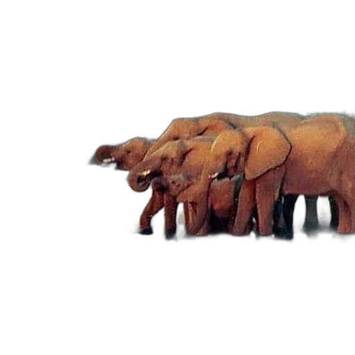 animal, furniture, weapon, creature transparent PNG cut-out