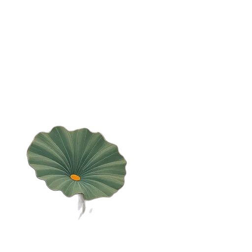 flower, umbrella, crown, hat transparent PNG cut-out