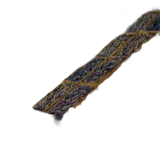 sword, umbrella, staff, weapon transparent PNG cut-out