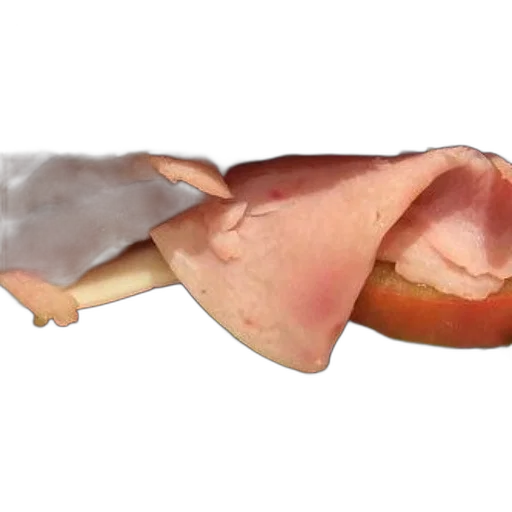 food, animal, creature, dragon transparent PNG cut-out
