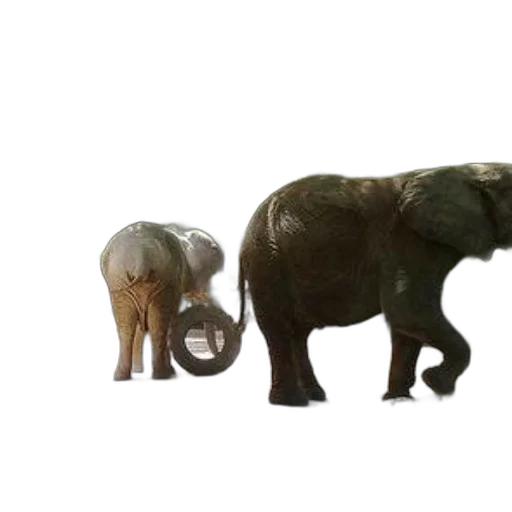 animal, creature, 3d render, concept art transparent PNG cut-out