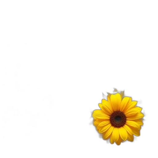 flower, crown, jewelry, dress transparent PNG cut-out