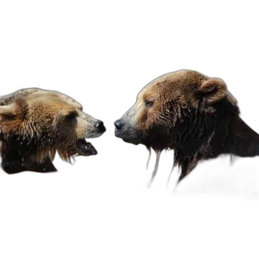 photorealistic, concept art, two, brown transparent PNG cut-out