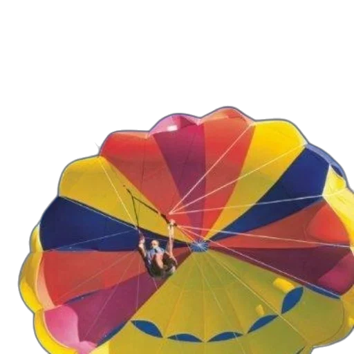 umbrella, crown, flower, jewelry transparent PNG cut-out